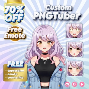 Made to Order Anime PNG Character, Custom PNGTuber Avatar Design, Personalized Stream Persona, Cute Virtual Model for Creators