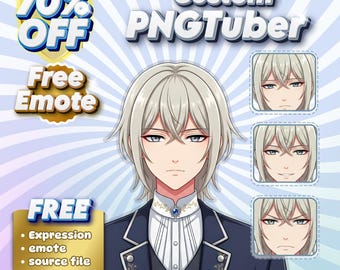 Personalized PNG Tuber Model, Anime Avatar Commission, Cute Reactive Character for Streaming, Custom Virtual Persona Design