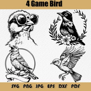 Game Bird Svg-bundel, fazant, kwartel, korhoenders, patrijs, vogels jagen, prairie, gebrilde vederwild, bloeiende vederwild, de vliegende vederwild