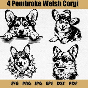 Pembroke Welsh Corgis SVG Clipart, Hundezeichnungen, digitale minimalistische Vektorhunde, der bebrillte Hund, der blumige Hund SVG, Cowboy-Hund