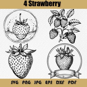Erdbeere SVG-Bundle, sofortiger digitaler Download, Erdbeersamen, Erdbeerfelder, Erdbeer Clipart, Erdbeere Silhouette, SVG, PNG, EPS