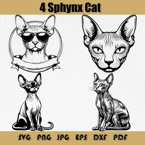 Paquete de SVG de gato esfinge, gato PNG, lindo SVG de gato esfinge, SVG de animal, mascota PNG, EPS de cabeza de gato esfinge, SVG de gato esfinge egipcio, gato esfinge canadiense