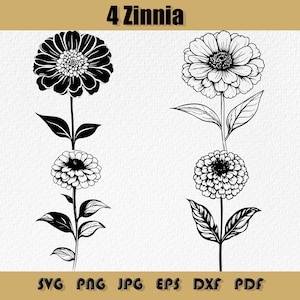 Zinnie SVG-Bundle, Zinnias Blumen Clipart, Zinnia Silhouette, Ornamentaler Blumenvektor, Zinnia Bloom svg, Detaillierter Blumenvektor, Gartenblume