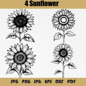 Sunflower Svg Bundle, Instant Digital Download, Sunflower Seeds, Sunflower Fields,Sunflower Clipart,Sunflower Silhouette , SVG, PNG ,EPS