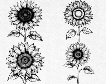 Paquete SVG de girasoles: imágenes prediseñadas florales, diseños cortados con láser (descarga digital)