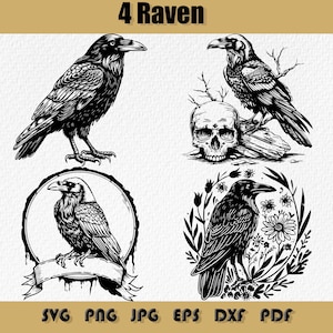 Raven Svg Bundle, Black Crow Clipart,The Raven Png,Floral Raven Svg,Raven Next To The Skeletal Head,Raven Crow Svg,Raven Svg Clipart,SVG PNG