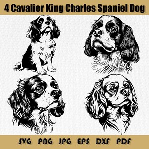 Cavalier King Charles Spaniel Hundesvg-Bundle, Cavalier Clipart, Spaniel Grafiken, Schmuck für Hundeliebhaber, Spaniel Printable, Hunderasse svg, Png, Dxf