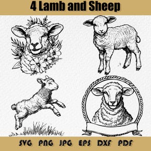 以下が含まれることがあります： 子羊と羊の白黒線画が4つあります。最初の画像は、花がついた子羊の頭です。2番目の画像は、立っている子羊です。3番目の画像は、ジャンプしている子羊です。4番目の画像は、バナーが付いた円の中に羊の頭があります。