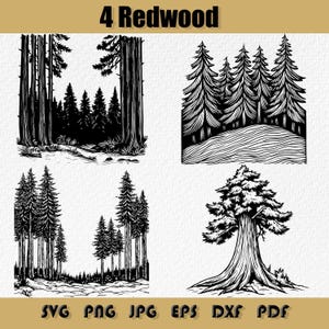 Redwood Svg Bundle, Trees Clipart, Redwood Tree Laser Engraving File, Big Tree Svg, Giant Tree Svg Png, Coastal Redwood Tree Svg Png