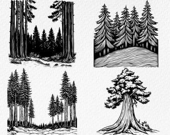 Redwood Tree SVG Bundle: Laser Engraving Files (Digital Download)