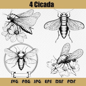 Cicada Svg Bundle, Cicadas Silhouette, Cicadas Clipart, Cicadas Outline, Cicadas Logo, Cicadas Icon, Svg, Png, Dxf, Eps, Pdf