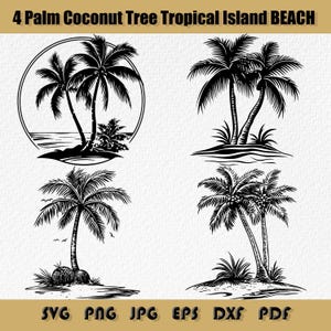 Paquete de imágenes prediseñadas de palmera, coco, isla tropical, playa, imágenes prediseñadas de palmera tropical, imágenes prediseñadas de palmera, imágenes prediseñadas de Hawái, imágenes prediseñadas de vacaciones, cocotero, palmera de verano.