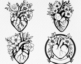 May include: Four black and white illustrations of an anatomical heart with floral designs. The heart is surrounded by flowers and leaves. The illustrations are in a vintage style.
