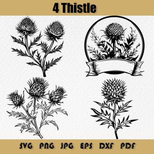 Distel-Svg-Bundle, Schottische Distel Pflanzenzweig Bouquet Png, Wildblumen Clipart, Schottische Distel Vektor, Distel Digitale Kunst,Svg,Png,Dxf