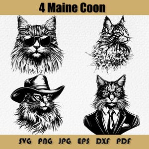 Maine-Coon-Katze-Svg-Bundle, Png, Maine-Coon-Monogramm, Blumen- bestimmt Maine-Coon-Svg, Cowboy Maine Coon, Gentleman Maine Coon, Maine Coon mit Sonnenbrille