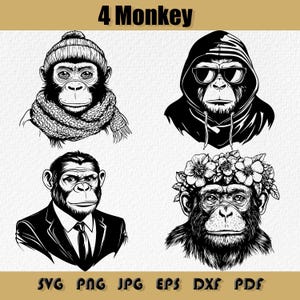 Bundle Svg singe, clipart drôle de singe, singe lunettes de soleil SVG, svg singe, chimpanzé svg, svg gorille, gentleman singe Svg, Png, Eps, Dxf, Pdf