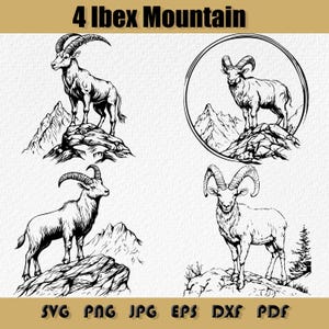 Puede incluir: Cuatro dibujos en blanco y negro de cabras montesas ibex de pie sobre cimas montañosas rocosas. Los ibex están dibujados en un estilo realista con cuernos y pezuñas detalladas. Las cimas de las montañas están dibujadas con picos dentados y afloramientos rocosos. Los dibujos están sobre un fondo blanco.