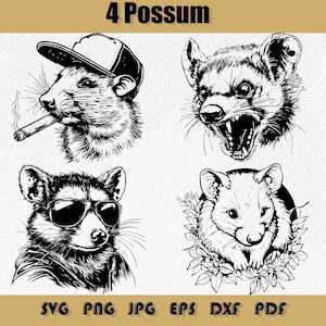 Pacote Possum Svg, Possum florido, Possum Mullet com óculos de sol fumando Arquivo, Silhueta de boné de caminhoneiro Possum legal, Possum nervoso SVG, PNG