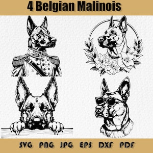 Belgian Malinois SVG Bundle, Png, Cute Dogs Clipart,Belgian Malinois Commander,FLOWERING Belgian Malinois,Belgian Malinois with GLASSES Svg