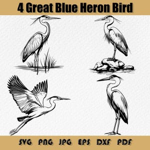 Blauwe reiger vogel Svg bundel, Png, Clipart reiger, blauwe reiger Svg, silhouet van de reiger, elegante vogel Clipart, Svg, Png, Jpg, Dxf, Eps