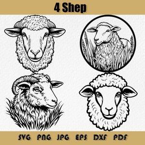 Pacote de ovelhas em SVG, vetor de ovelhas, animais de fazenda em SVG, ovelhas em DXF, ovelhas em PNG, ovelhas em EPS, vida na fazenda, ilustração vetorial de animais de fazenda, ovelhas fofas em SVG