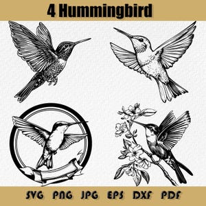 Humming Bird Svg Bundle,Bird Silhouettes and Clipart,Flying Bird Svg, Bird Silhouette, Svg,Hummingbird Flowers Svg,Png Dxf,Eps, Pdf,Jpg
