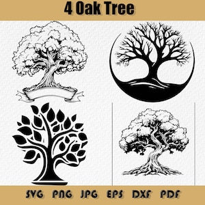 Oak Tree Svg Bundle,Oak Tree PNG, Oak Trees Clipart,Acorn Hardwood Grove,  Oak Tree vector,SVG,Dxf,Eps,PNG