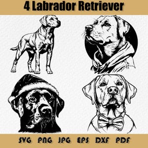 Labrador Retriever SVG Bundle: Peeking Dog Cut File (Digital Download)