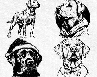 Labrador Retriever SVG Bundle: Peeking Dog Cut File (Digital Download)