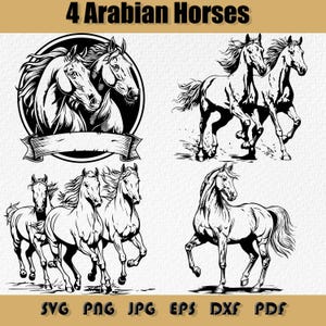 Arabische paarden SVG bundel, paard SVG, rennend paard Svg, paard Clipart, paard Stickers Png, paard silhouet, wild paard Svg, wild paard Svg