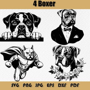 Boxer Svg Bundle,Png,Boxer Clipart, Boxer Dog SVG,Boxer Peeking svg,Floral Boxer Svg,Royal Boxer Svg,Boxer Dog Breed Svg
