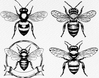 Pakiet pszczół w formacie SVG: Clipart z pszczołami miodnymi, projekty sylwetek (pobieranie cyfrowe)