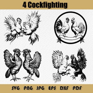 Paquete SVG de peleas de gallos, Gallo de pelea SVG, Pollo de pelea SVG, Silueta de pelea de gallos, Gallo enojado SVG, PNG, JPG, DXF