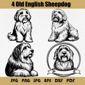 Old English Sheep Dog Svg Bundle,Dog svg,Old English Sheepdog Face, Dog Sign,Dog Breed, Cricut,Pet Portrait Svg,Sheepdog Png,Old English Dxf