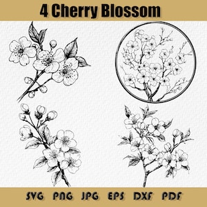 Bundle Svg de fleurs de cerisier, art japonais Sakura, décoration de carte postale, élégants dessins de la nature, clipart floral, Svg de fleur de cerisier, Sakura japonais