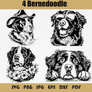 Bernedoodle SVG Bundle, PNG, Clipart di cani divertenti, Clipart di Bernedoodle, scarica Svg, Clipart di faccia scarabocchiata, file Svg di cani Bernedoodle per Cricut