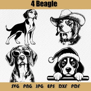 Beagle-Svg-Bundle, Png, Spähender Beagle, Beagle Sonnenbrille svg, Cowboyhut-Beagle-Svg, eleganter Gentleman Beagle, königliche Beagle-Svg, Png, Dxf, Eps, Pdf