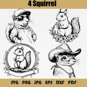 Bundle Svg écureuil, png, écureuil png, vecteur d'écureuil, écureuil cow-boy Svg, écureuil fleur Png, écureuil avec des lunettes et un chapeau SVG