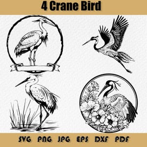 Kraanvogel Svg bundel, bloeiende kraanvogel, de vliegende kraanvogel, moeraskraanvogel Svg, wetland zilverreiger Clipart, trekvogel Png, Svg, Eps