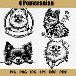 Pomeranian Svg Bundle,Png,Pomeranian Silhouette, Pomeranian Clipart Floral,Pomeranian Decal,Pomeranian Icon Logo,Pomeranian Gifts File Decal