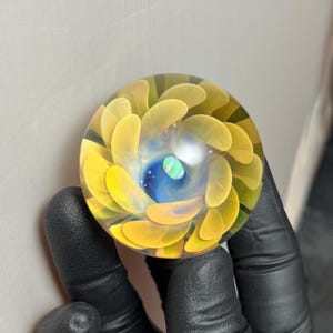 May include: A clear glass marble with a swirling design. The marble has a central blue and white core, surrounded by yellow petal-like shapes. The marble is held by a gloved hand.
