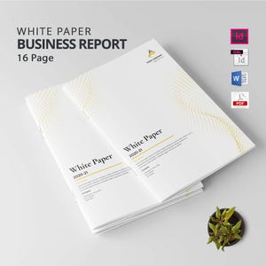 White Paper aziendale / White Paper aziendale / White Paper aziendale / Modello di schema del white paper / Modello di formato del white paper / Business