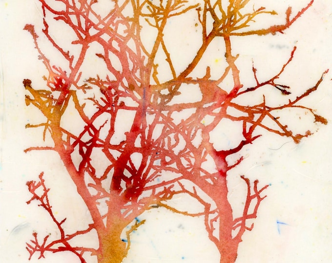Trees Watercolor Mixed Media Original Painting Giftable Pair of 2