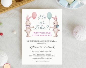Gender Reveal Invitation Template, He or She Baby, Spring/Easter Invitation Party, Guess the Gender Party, Instant Digital Download