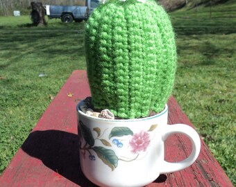 Crocheted barrel cactus succulent in a cup coffee cup mug plant desert life silk flowers seashells in dirt