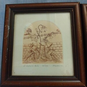 Op de afbeelding: Een ingelijste print van een botanische illustratie van een bloem met de tekst "of Nature's Bells 1881250 Alleman 70-2".