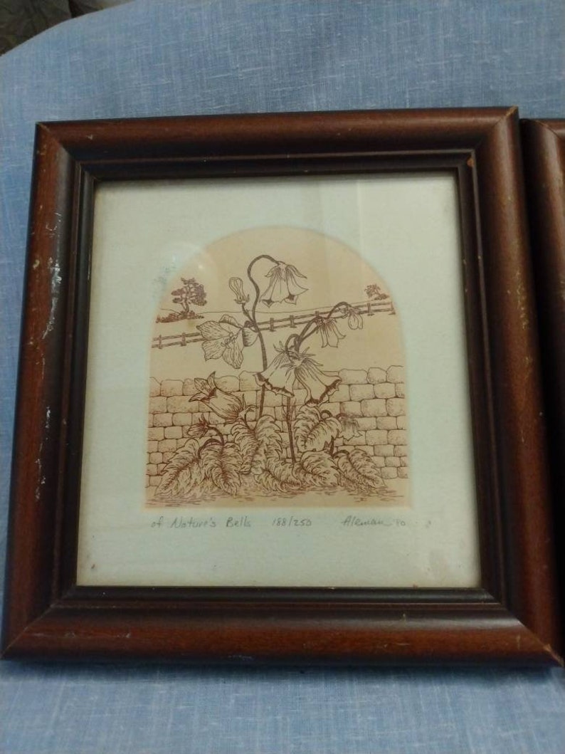 Op de afbeelding: Een ingelijste print van een botanische illustratie van een bloem met de tekst "of Nature's Bells 1881250 Alleman 70-2".