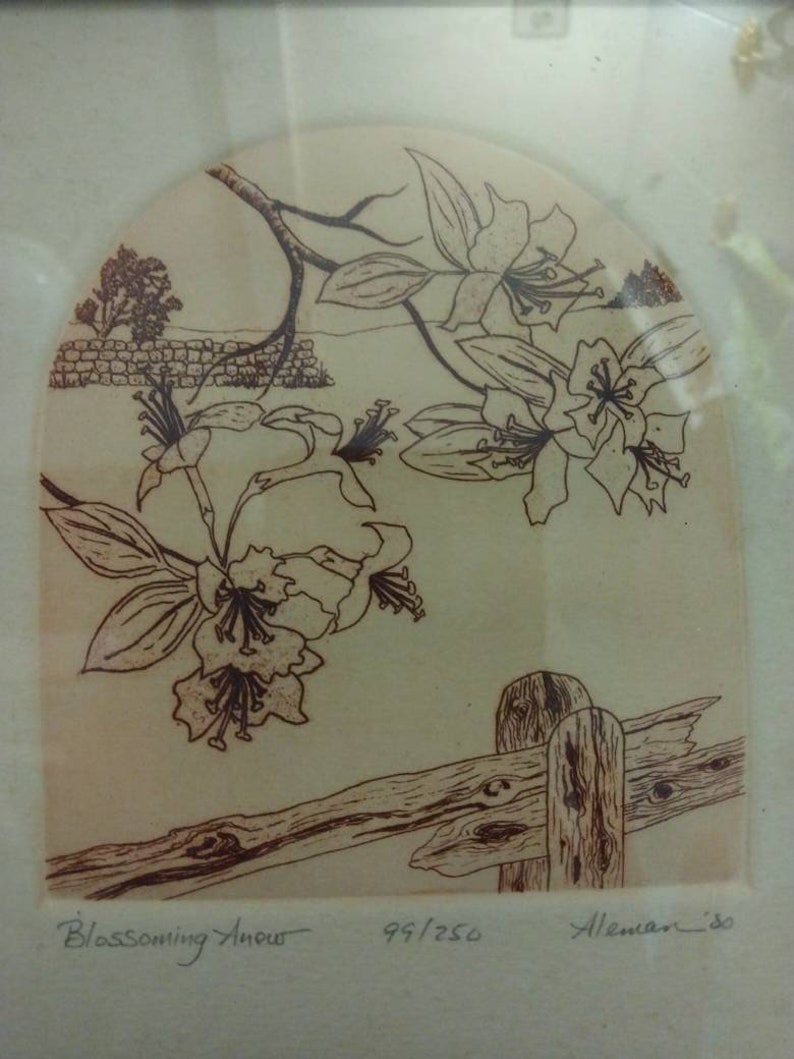 Op de afbeelding: Een zwart-witte print van een bloeiende bloem met een houten hek op de voorgrond. De print is getiteld "Blossoming Amour" en genummerd 95/250. De handtekening van de kunstenaar is "Aleman '80".