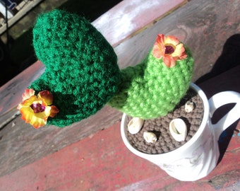 Hand crocheted cactus in a cup succulents flowering seashells in the dirt dessert plants crocheted hearts coffee cup