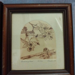 Op de afbeelding: Een ingelijste zwart-witte tekening van een bloeiende bloem met een houten hek op de voorgrond. De tekening is getiteld "Blossoming Hour" en gesigneerd met "Aleman" met het nummer 95/250.